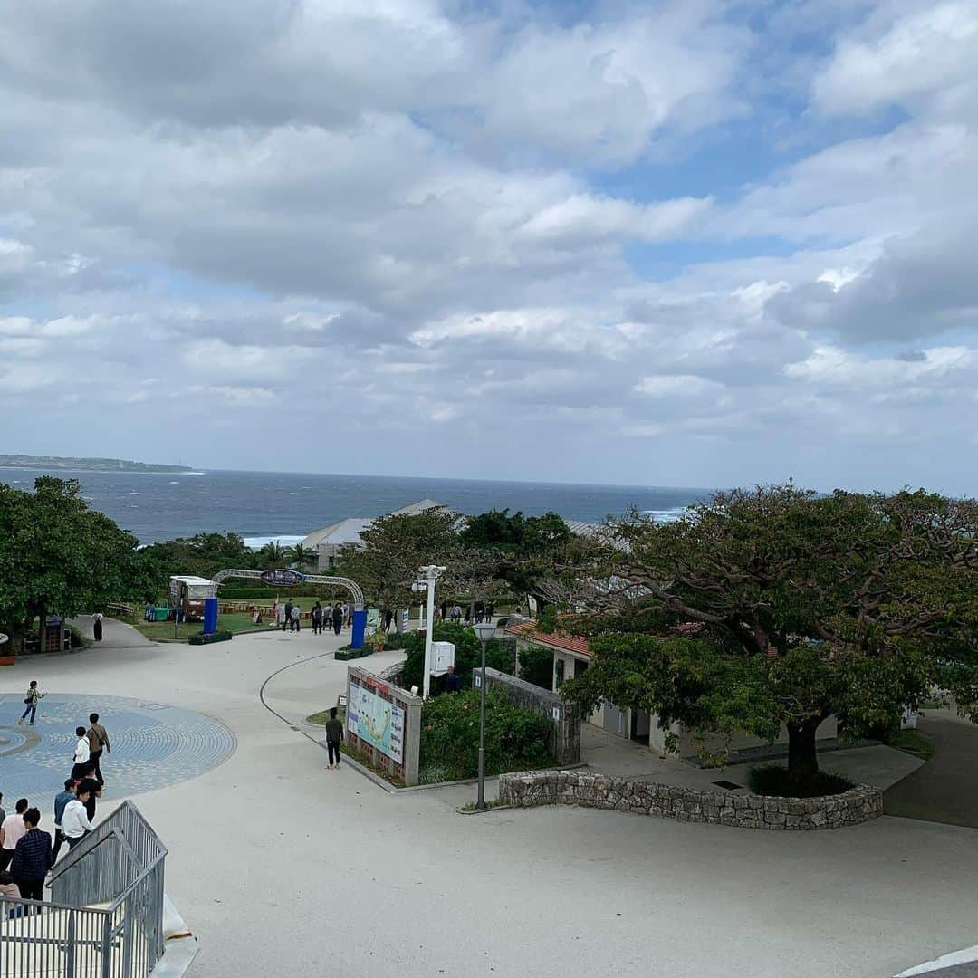 森崎浩司さんのインスタグラム写真 - (森崎浩司Instagram)「沖縄旅行✈️② 美ら海水族館🐠&フクギ並木 #美ら海水族館 #フクギ並木」12月31日 20時54分 - koji.morisaki77