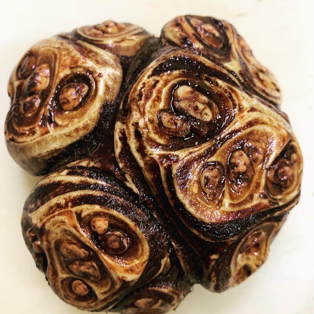 のインスタグラム：「今年の大晦日は実家のキッチンにて過ごしています。それにしてもこいつかっこ良すぎる！  #ヤツガシラ」