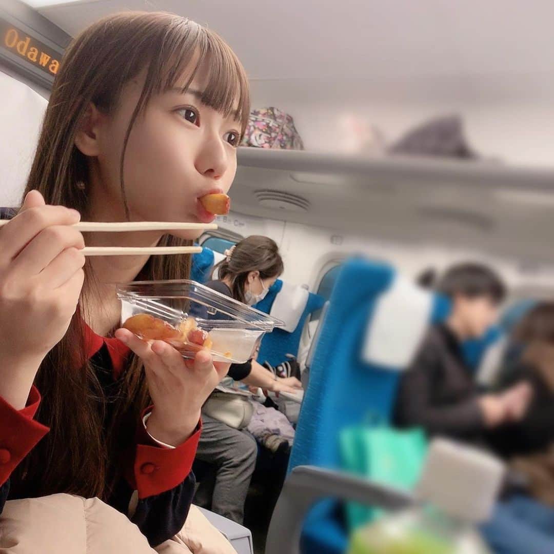 宮内桃子さんのインスタグラム写真 - (宮内桃子Instagram)「帰省🚅」12月31日 21時10分 - bakemonomomo