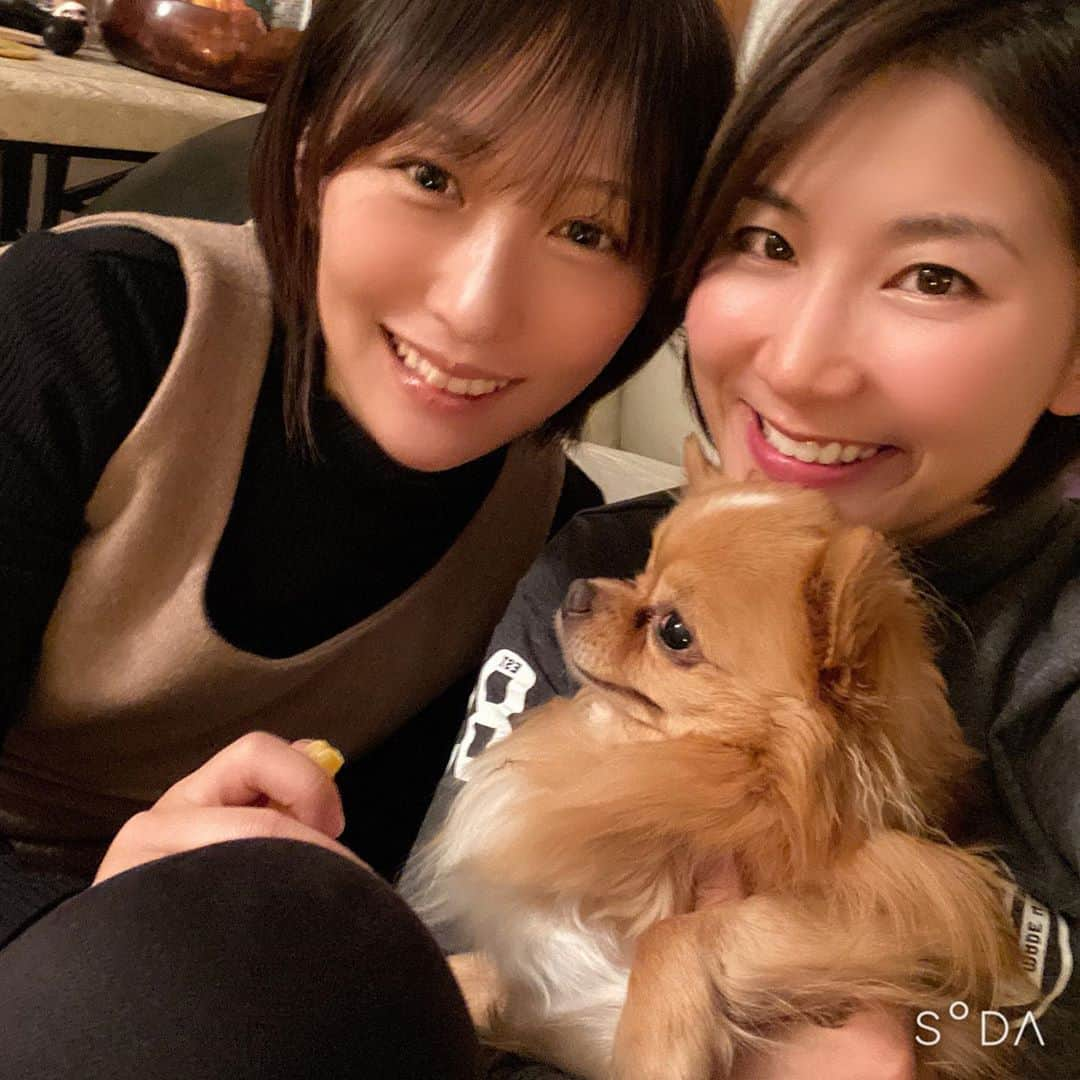 杉山美帆さんのインスタグラム写真 - (杉山美帆Instagram)「今年のベストナイン♪ * 皆さんいつも沢山のいいね！とコメントありがとうございます🥺🤲✨ *  平成元年に産まれた私には感慨深い1年になりました！年号も変わり… * 周りの環境が目まぐるしく変わり有り難い事ですが戸惑ったりもしましたが、自分にとって転機になる思い出の1年になりました🥺✨ *  ドラコン日本一になれたのがやっぱり嬉しかったけど、それよりも見てくれた方…応援してれた方に感動した！って言われたのが本当に嬉しかった😭✨ *  こんな自分でも誰かにそう思ってもらえた事に感動🥺💦 * 改めて所属のゼンケン、スポンサードして頂いてるエントリーとローメルと、応援してくださる皆様いつもありがとうございます！ *  来年も頑張ります🤗 * そして今年もきいちゃんと年越し🥺💕 * 皆さん良いお年をお迎え下さい♪  #ゴルフ　#golf #ドラコン　#ベストナイン2019  #エントリー　#ゼンケン　#ローメル」12月31日 21時25分 - mih0_golf