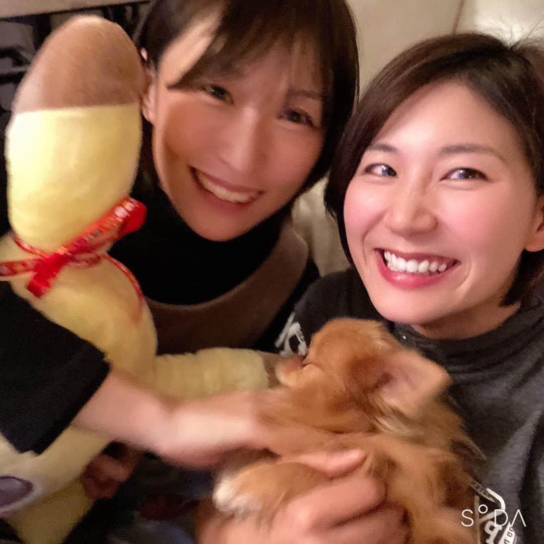 杉山美帆さんのインスタグラム写真 - (杉山美帆Instagram)「今年のベストナイン♪ * 皆さんいつも沢山のいいね！とコメントありがとうございます🥺🤲✨ *  平成元年に産まれた私には感慨深い1年になりました！年号も変わり… * 周りの環境が目まぐるしく変わり有り難い事ですが戸惑ったりもしましたが、自分にとって転機になる思い出の1年になりました🥺✨ *  ドラコン日本一になれたのがやっぱり嬉しかったけど、それよりも見てくれた方…応援してれた方に感動した！って言われたのが本当に嬉しかった😭✨ *  こんな自分でも誰かにそう思ってもらえた事に感動🥺💦 * 改めて所属のゼンケン、スポンサードして頂いてるエントリーとローメルと、応援してくださる皆様いつもありがとうございます！ *  来年も頑張ります🤗 * そして今年もきいちゃんと年越し🥺💕 * 皆さん良いお年をお迎え下さい♪  #ゴルフ　#golf #ドラコン　#ベストナイン2019  #エントリー　#ゼンケン　#ローメル」12月31日 21時25分 - mih0_golf