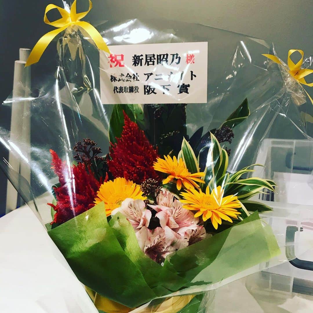 新居昭乃のインスタグラム：「North Bazar 足を運んでくださったみなさん、きょうは一緒に過ごしてくださってありがとうございました！！　もう２度とできないようなライブになりました。　氷の国の市場はもう消えてしまったけど、また違う世界でお会いできる日を楽しみにしています。。 どうぞ良いお年をお迎えくださいー✨  きょうは余裕ゼロで写真ぜんぜん撮れなかった。。かろうじて撮った２枚がこちらです💦  アニメイトの阪下さん、いつも素敵なお花をありがとうございます！今年もたくさんお世話になりました！！ お弁当は私だけのスペシャルランチ。お洒落な美味しい味がしました！キョードー東京の皆さん、ほんとにありがとうございます！！」