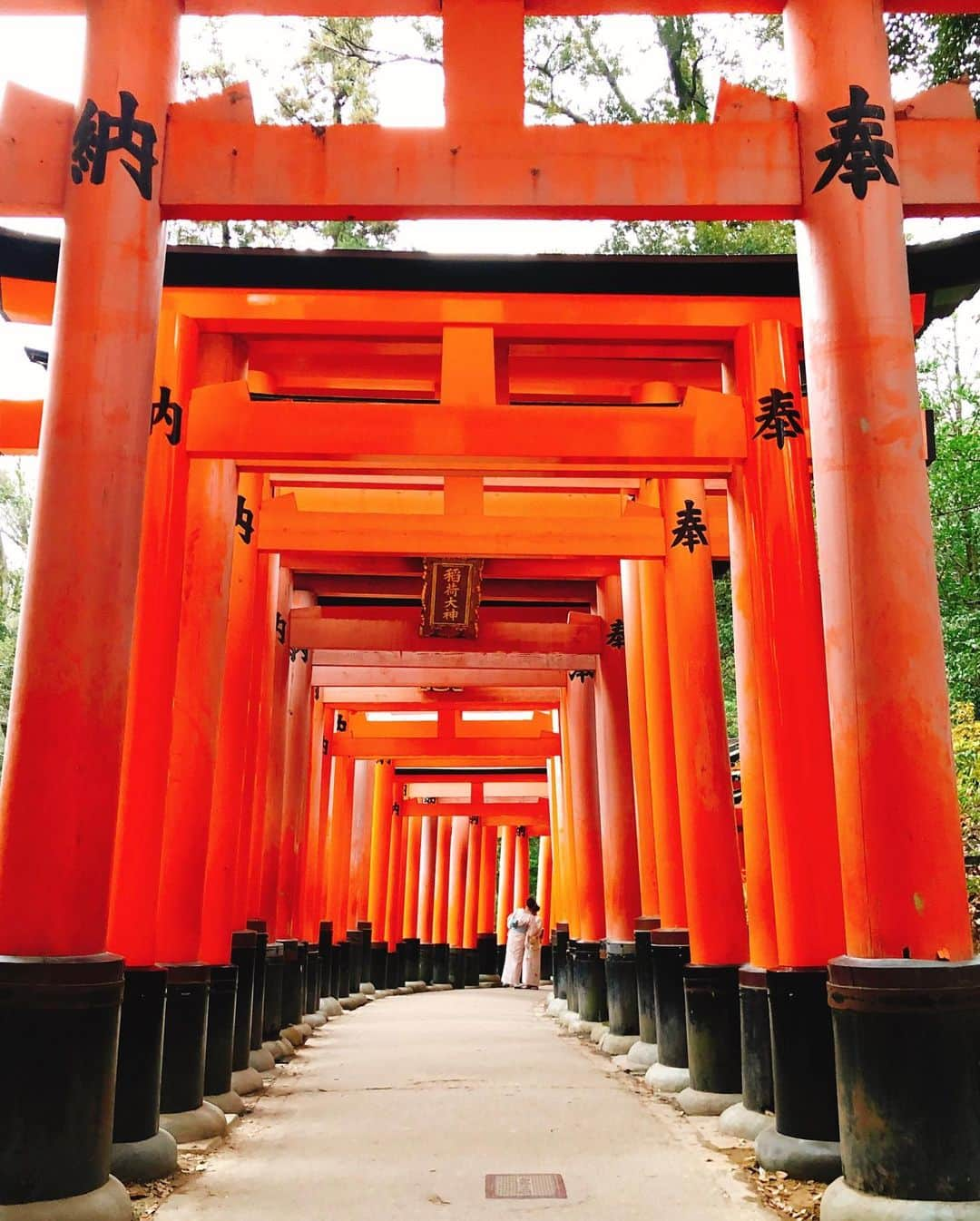 畑田亜希さんのインスタグラム写真 - (畑田亜希Instagram)「🐱⛩伏見稲荷大社⛩🐱 ・ 2019年今年も一年お世話になりました ・ 来年も新しい事にチャレンジし成長して行ければと思います❣️ ・ 🎍良いお年をお迎えください💚 ・ #2019 #sg #japan #kyoto #fushimiinari #昼も夜も行った #大晦日#年末#紅白」12月31日 22時31分 - akihatada