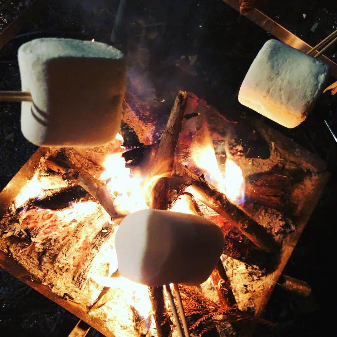 都丸ちよさんのインスタグラム写真 - (都丸ちよInstagram)「. .  年末キャンプ 星がすごく綺麗だった🌟 . 非日常の楽しさ . 電気を使わずどれだけ快適に過ごせるか . 楽しい〜 . .」12月31日 22時39分 - chiyo_tomaru