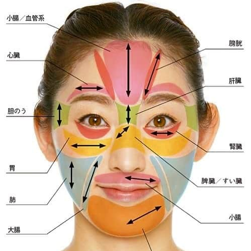 kogao283さんのインスタグラム写真 - (kogao283Instagram)「だるい、むくみやすい、肩が凝る……﻿ ﻿ こうした不調を 顔の反射区で探してみよう☝️﻿ ﻿ ﻿ 内臓のどこに不調があるのかを知るために、﻿ 図を参考に、顔に深く触れながら、﻿ しこりのある反射区を探そう🔍﻿ ﻿ しこりのような硬さや痛みを感じたら、﻿ その部分に血流や代謝が滞っており、﻿ 関連する臓器に影響を及ぼしている可能性があります😣﻿ 硬さを感じる部分は複数あるかもしれないです﻿ ﻿ ﻿ しかし、その中で最も硬い反射区に関連する﻿ 臓器の機能が、﻿ 特に低下していると考えられます😥﻿ ﻿ 内臓の不調は顔のどこかに表れる。﻿ 指で触れて最も硬かった場所（反射区）に﻿ 対応する臓器に不調が。﻿ （同じ色の反射区は関連する臓器)﻿ ﻿ またお会いできること楽しみにお待ちしてますね💕﻿ ﻿ 𝐊𝐎𝐆𝐀𝐎𝟚𝟠𝟛﻿ ﻿ ■ご予約・お問い合わせ﻿ ﻿ LINE@ : 【@kogao283】@マーク含む﻿ ﻿ トークではなく【友だち追加】を【クリック】してください。 >>>>専用メッセージが届きます ✉﻿ ﻿ ■場所﻿ 【東京サロン】﻿ 参宮橋駅 徒歩3分﻿ 【大阪サロン】﻿ 新大阪駅徒歩3分﻿ ﻿ ご予約確定時にお知らせいたします✨﻿ ﻿ #女子力#美意識 #ダイエット#アンチエイジング#小顔ヘア#ブライダルヘアメイク #ブライダル前撮り #ブライダルネイル #美容整形#リンパマッサージ#スキンケア#ヘアアレンジ#ブライダル #バストアップ#カットモデル#体質改善#小顔整形#小顔矯正#温活#妊活アカウント#東京小顔#東京サロン#参宮 橋サロン#参宮橋ランチ#代々木公園#初台#西参道」12月31日 22時39分 - kogao283