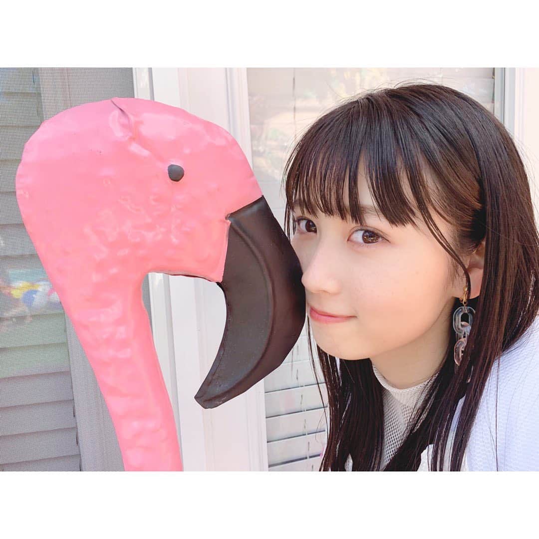 井上瑠夏のインスタグラム：「かわいかったな〜〜〜🐥 . . .  #LA #frustration #ske48 #ダチョウ 〜？？？ #2019 #ふりかえり」