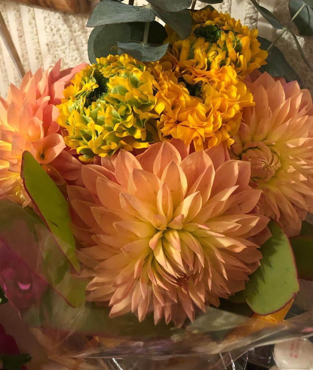 Liaさんのインスタグラム写真 - (LiaInstagram)「皆さま、豊洲ピットライブでは沢山のお花をありがとうございました！！💐籠花は勿論のこと、スタンド花からも少しずつ持ち帰り、家に飾らせて頂き皆さんからの愛情を毎日たっぷり感じて過ごしております。 2019年、事務所スタッフ始め関係者皆様、ファンの皆様、家族、みんなみんなありがとう！！2020年も素敵な音楽が届けられる様頑張ります。2019年12月31日　Lia⭐️ Thank you for all the support and love you share. May your New Year be happy and healthy💓 Dec. 31. 2019 Lia☆ #Lia #2019 #thankyou #ありがとう」12月31日 23時03分 - lia_vocalist