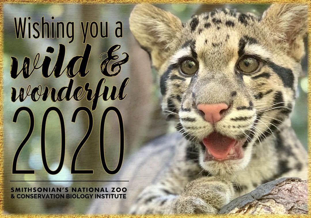 スミソニアン国立動物園さんのインスタグラム写真 - (スミソニアン国立動物園Instagram)「As we look ahead to #2020, the year of #EarthOptimism, we pause to express our sincere gratitude to you for being a part of our conservation community. Happy "Zoo" Year to you and yours! 🎉🎉」12月31日 23時05分 - smithsonianzoo