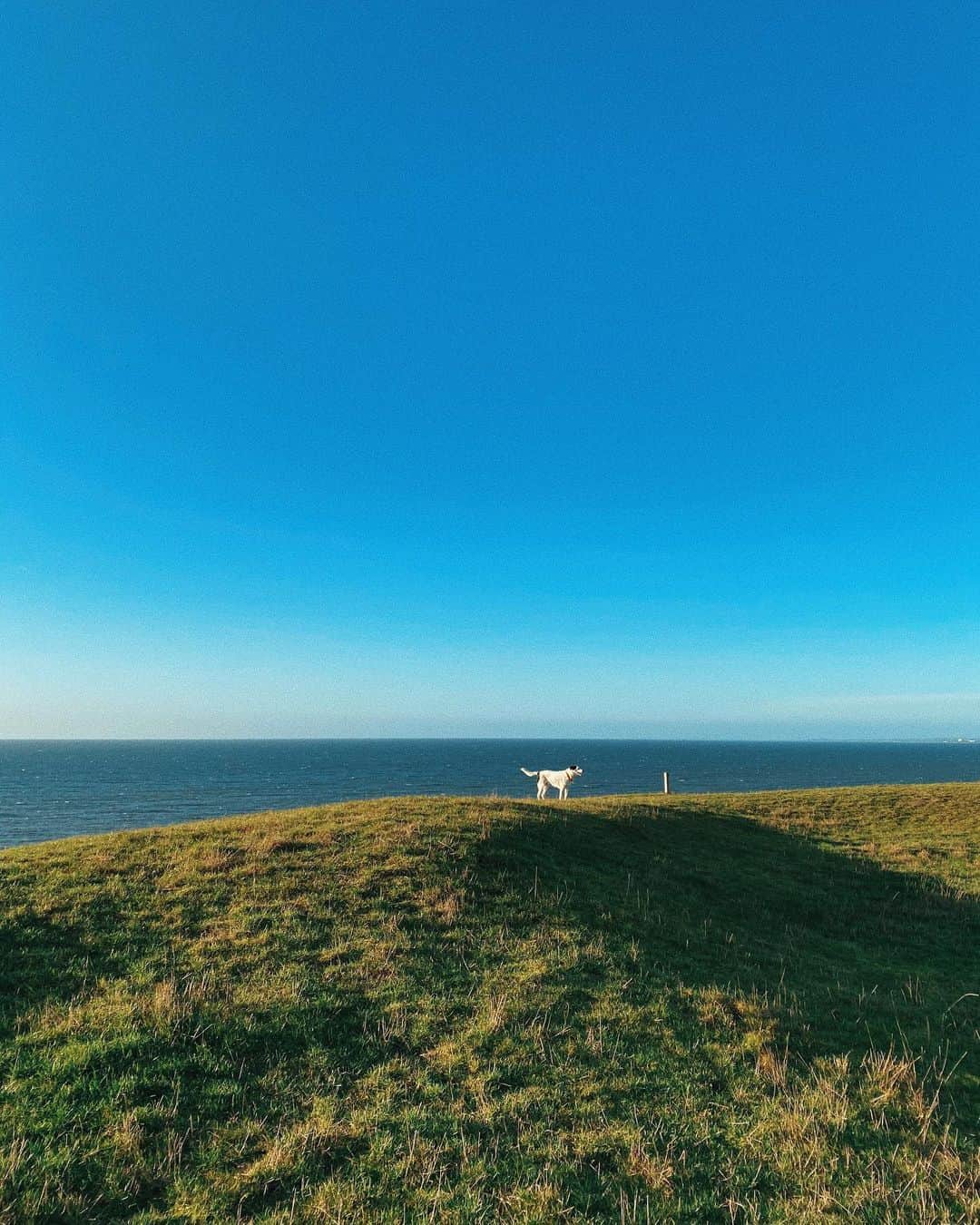 STIL IN BERLINのインスタグラム：「Hiked along the south coast of Sweden before ending the decade with a huge meal in the countryside. Guten Rutsch! 🎈」