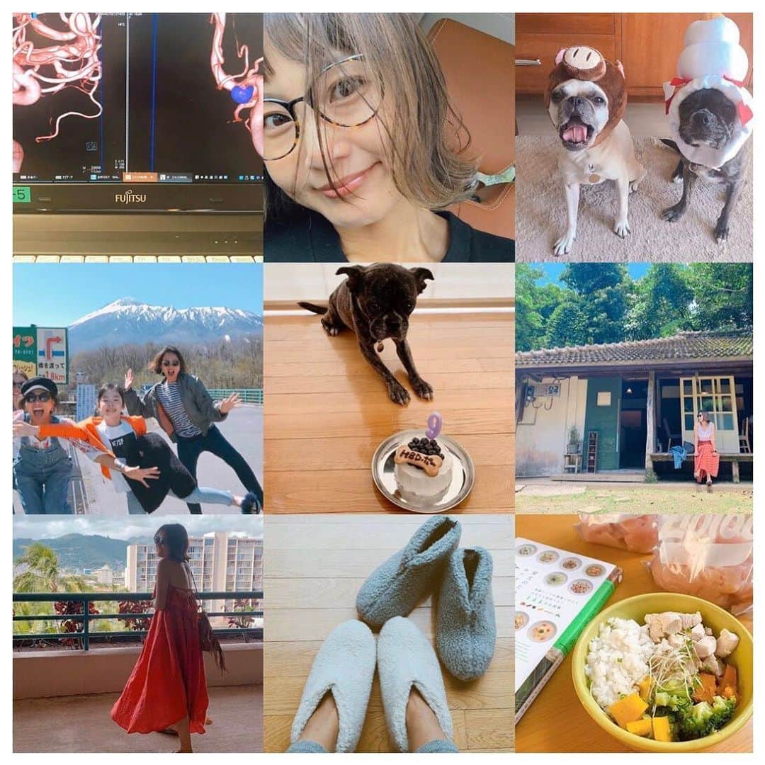 のインスタグラム：「大晦日はガキ使みながら食い倒れ🐷 あー、幸せ❤️ 今年もあっという間に終わったなー。 振り替えると今年もワンコと旅な1年。 健康と美容とも今までより向き合った。 来年どんな年になるかはまだ分からないけれど、"今を生きる"んだ！！ こんな私に関わってくれた皆様ありがとう😊 来年もどうぞよろしくお願い致します😜 #2019 #bestnine2019」