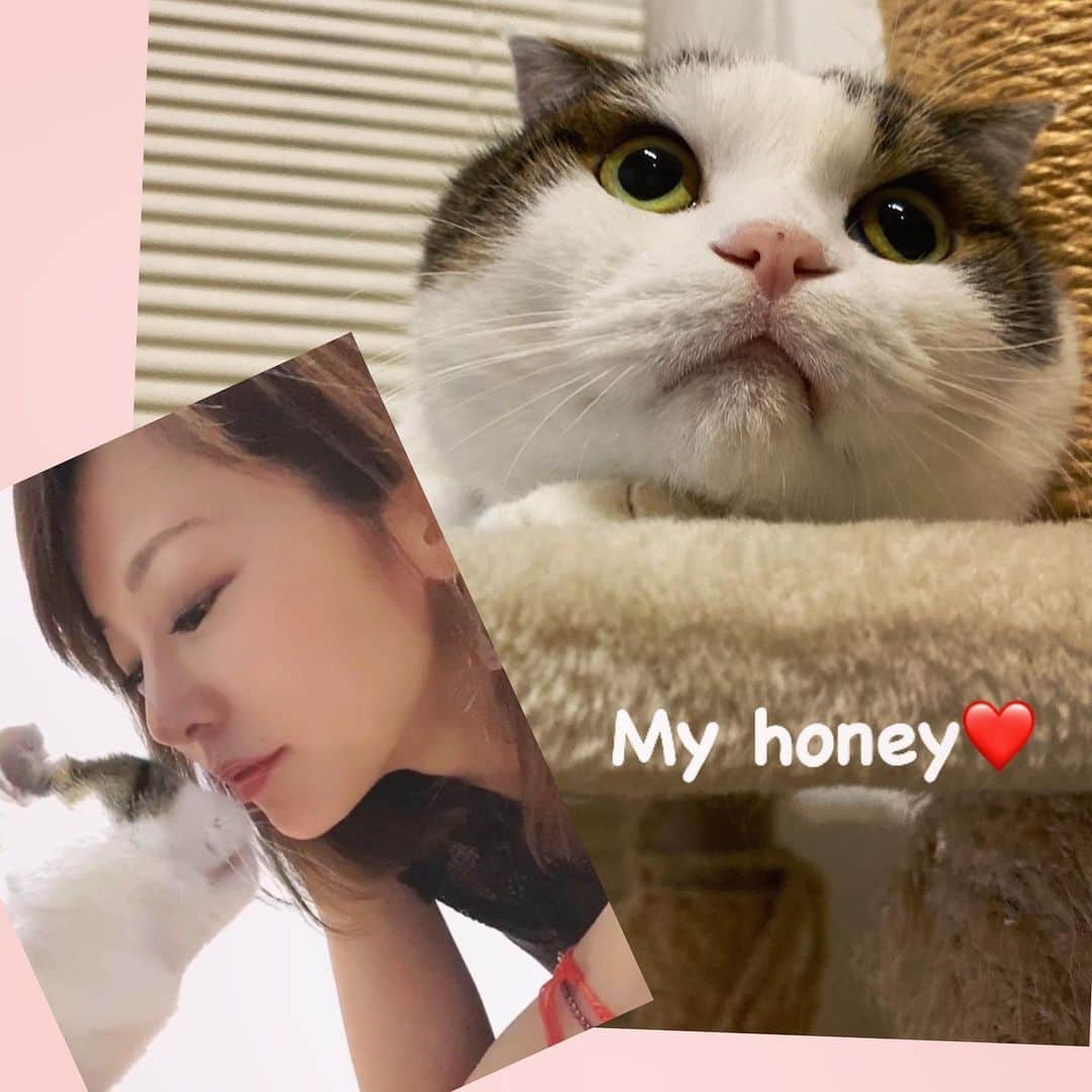 上本昌代のインスタグラム