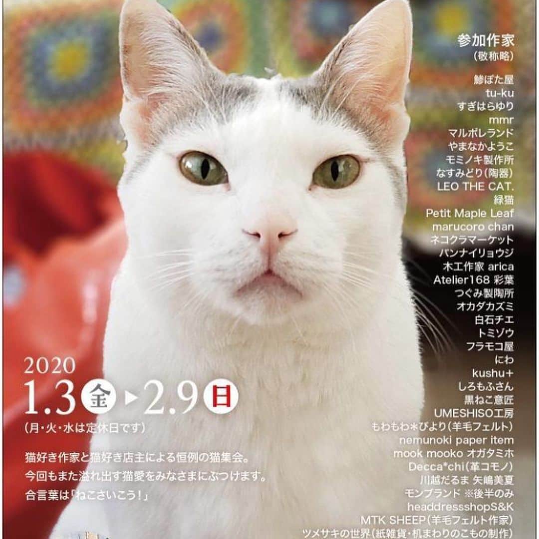 yamanekoさんのインスタグラム写真 - (yamanekoInstagram)「今年最後に作った5匹の猫たち。可愛い子が出来ました。お嫁に行くのが寂しい😭来年1月3日から名古屋に行って来ます。お近くの方逢いに来てくださいね！宜しくお願いします @qedstorecafe1987  #ねこねこ展11 #ねこさいこう  #ねこ #ねこすたぐらむ #ねこ部 #木彫りねこ #cat #catstagram #大晦日#catsofinstagram #sculpture #彫刻 #バンナイリョウジ」12月31日 23時32分 - yamaneko5656