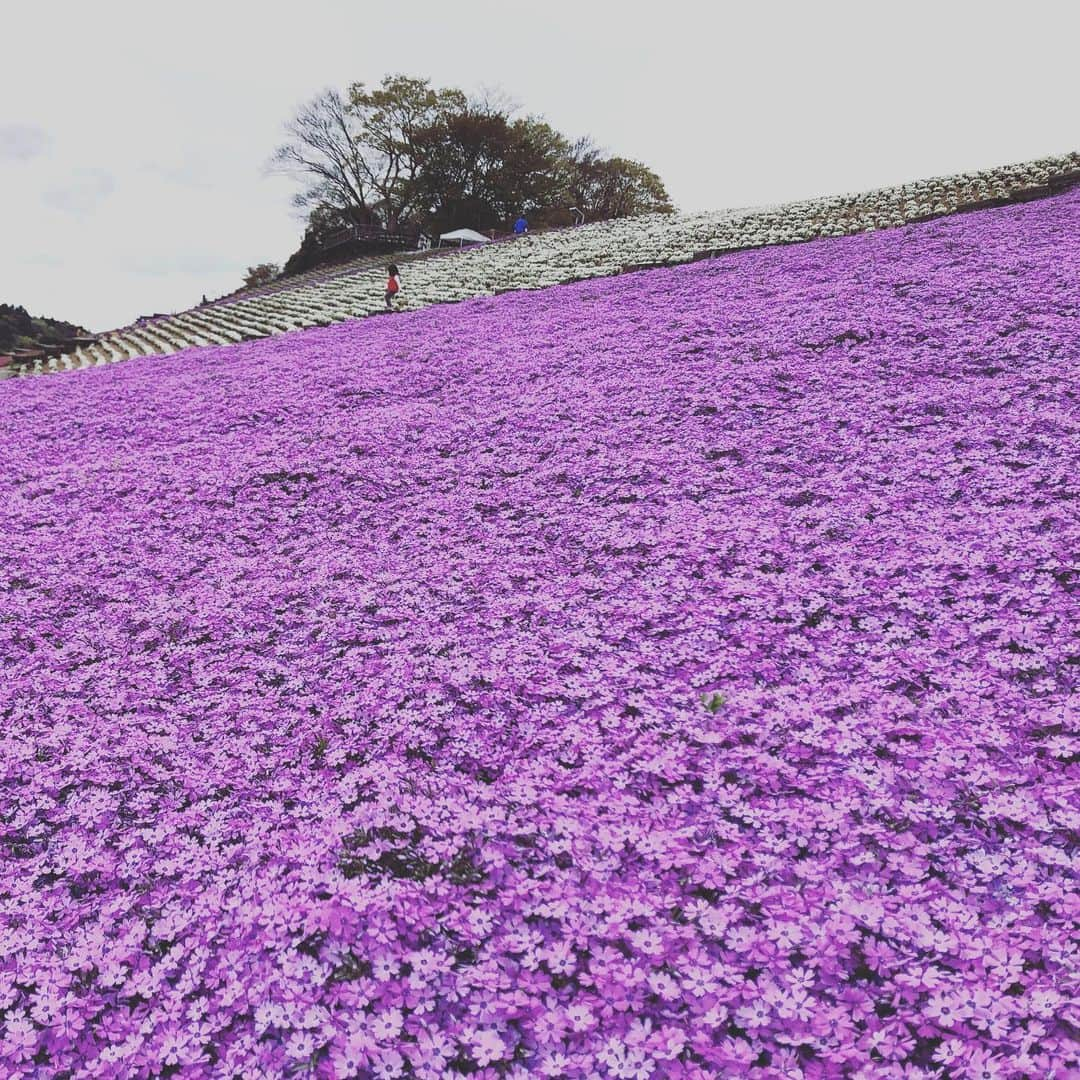 佐藤友紀のインスタグラム：「#駆け足　#2019年」