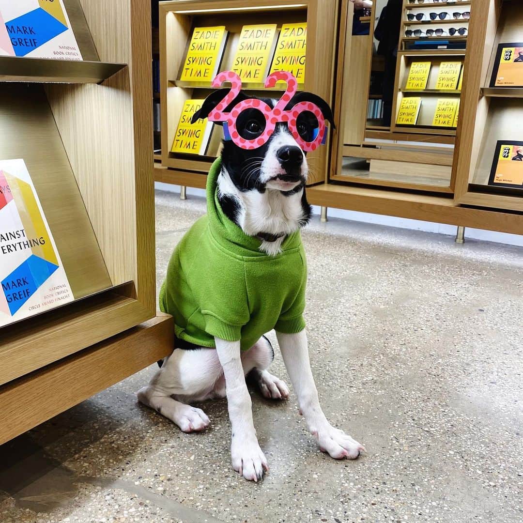 Warby Parkerのインスタグラム：「We’ve loaded up our stores with custom-illustrated 2020 frames—perfect for tonight's end-of-year bash! Come grab some for your nearest and dearest 🐶🎉 (PS: Some of our locations even have extended holiday hours.)」