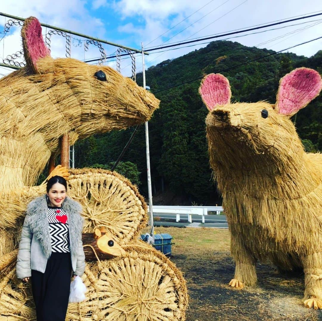 平野ノラさんのインスタグラム写真 - (平野ノラInstagram)「バブリーニューイヤー2020💕💕💕 今年もノリノリのイケイケで土地転がしていこー！ハッとしてグーにしくよろーーー！  #2020 #元旦 #okバブリー #平野ノラ」1月1日 0時05分 - noranoranora1988