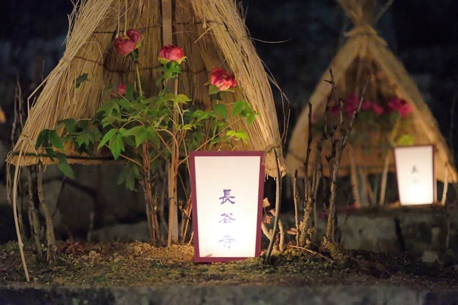 奈良 長谷寺 / nara hasederaのグルメインスタ