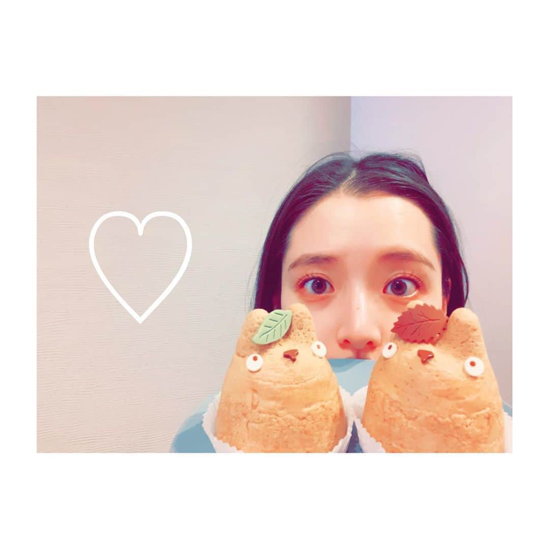 のインスタグラム：「🌱 あけましておめでとうございます 2020年 今年も私らしく楽しく面白おかしく 笑って過ごせたらなと思います あとは健康気をつけます(切実) 今年もどうぞよろしくお願いします！ ・ #2020 #オリンピック楽しみ #めいとトトロ #健康第一」