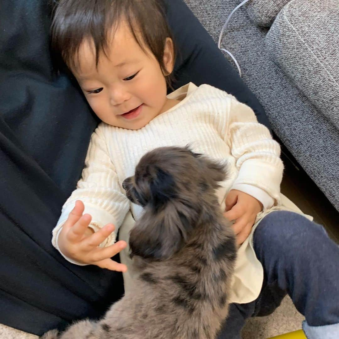 山崎晃平さんのインスタグラム写真 - (山崎晃平Instagram)「あけましておめでとうございます🎍 今年もよろしくお願いします🎌」1月1日 0時11分 - yamapon_fabi