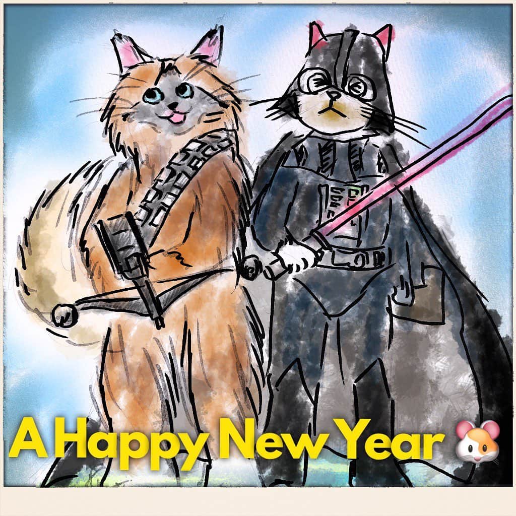 takegaeruのインスタグラム：「🎍あけましておめでとうございます🎍 今年もてんちゃんランちゃんを宜しくお願い致します🤗 #cat #猫 #ragdoll #ラグドール #ホワイトポッチーズ #よもねこ #よもぎねこ #キジトラ #きじとら #happynewyear」
