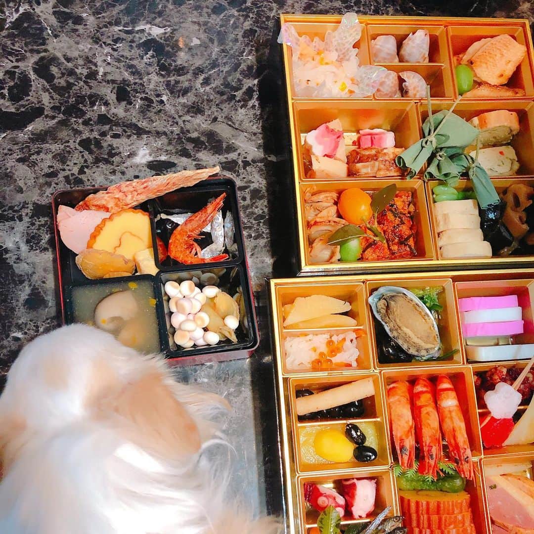 舞希セナさんのインスタグラム写真 - (舞希セナInstagram)「ワンチャン用のおせちを頂いたよ💛 小さい方がワンチャン用で、大きいふたつはもちろん大人用だよ◡̈⃝︎⋆︎*꙳★*ﾟ  #犬用 #おせち料理 #チワワ #クリーム」1月1日 0時47分 - maiki.sena