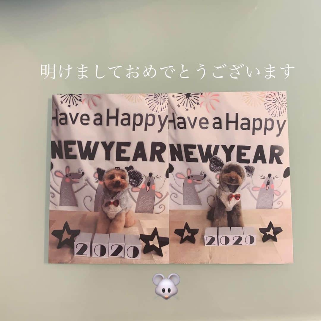 萩原舞さんのインスタグラム写真 - (萩原舞Instagram)「.﻿ 明けましておめでとうございます。﻿ 今年は、年女ということもあり﻿ かなり気合いはいってます🐭☄️﻿ ﻿  @withmii_official としても私個人としても﻿ 去年よりもより良い1年になるように頑張ります🦦🌅 ﻿ ﻿ ちゅーちゅーいくぜぇ🐭🌀⭐︎﻿ 今年もよろしくお願いします。﻿ ﻿ 萩原舞」1月1日 0時55分 - mai_hagiwara_22462