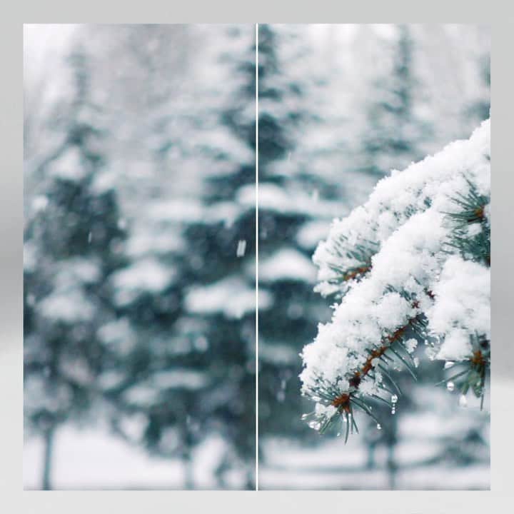 Jacob Cohenのインスタグラム：「Winter as a state of mind  #JacobCohen #JacobCohenJeans」