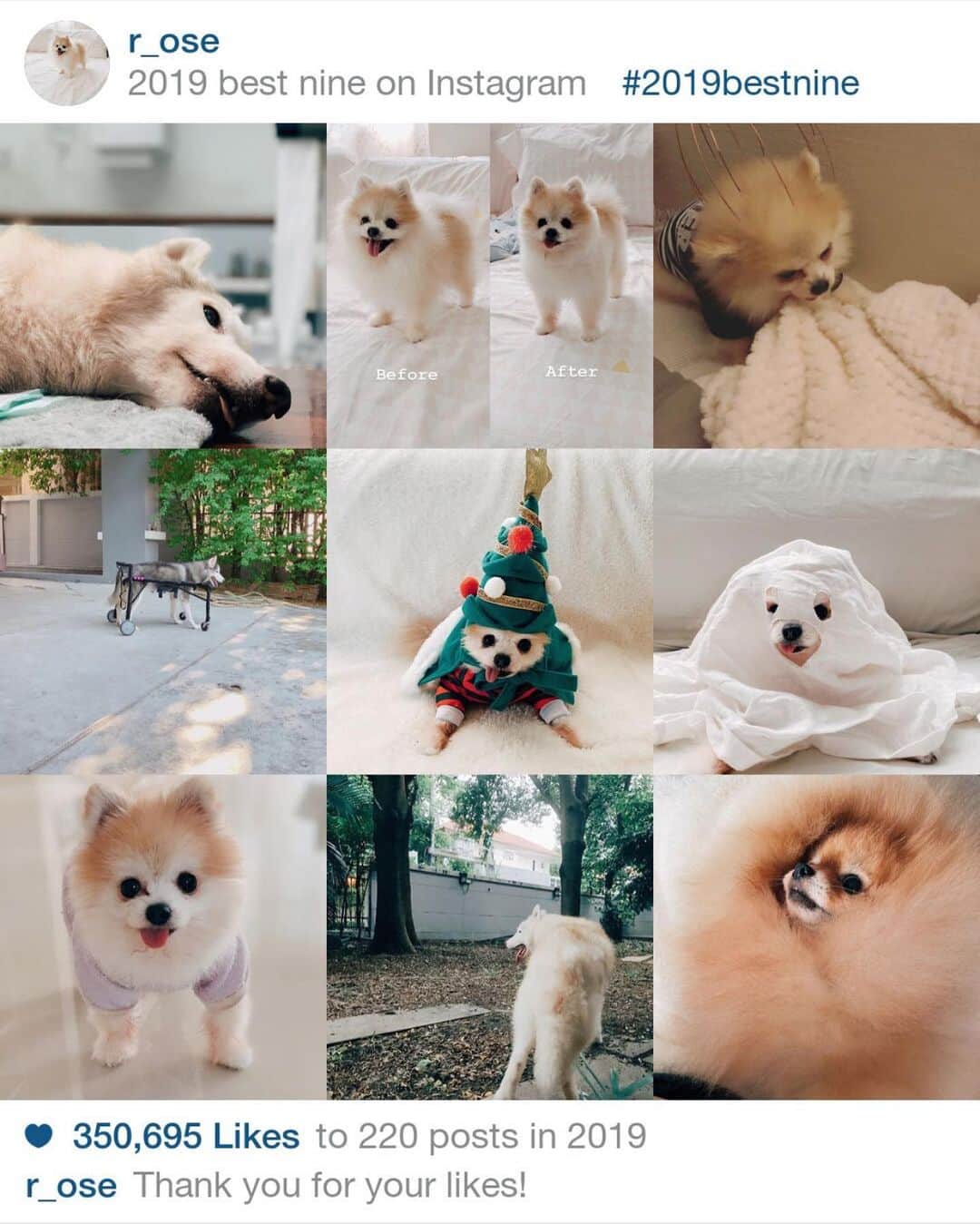 r_oseのインスタグラム：「My #2019bestnine」