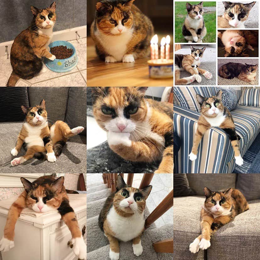 リリーのインスタグラム