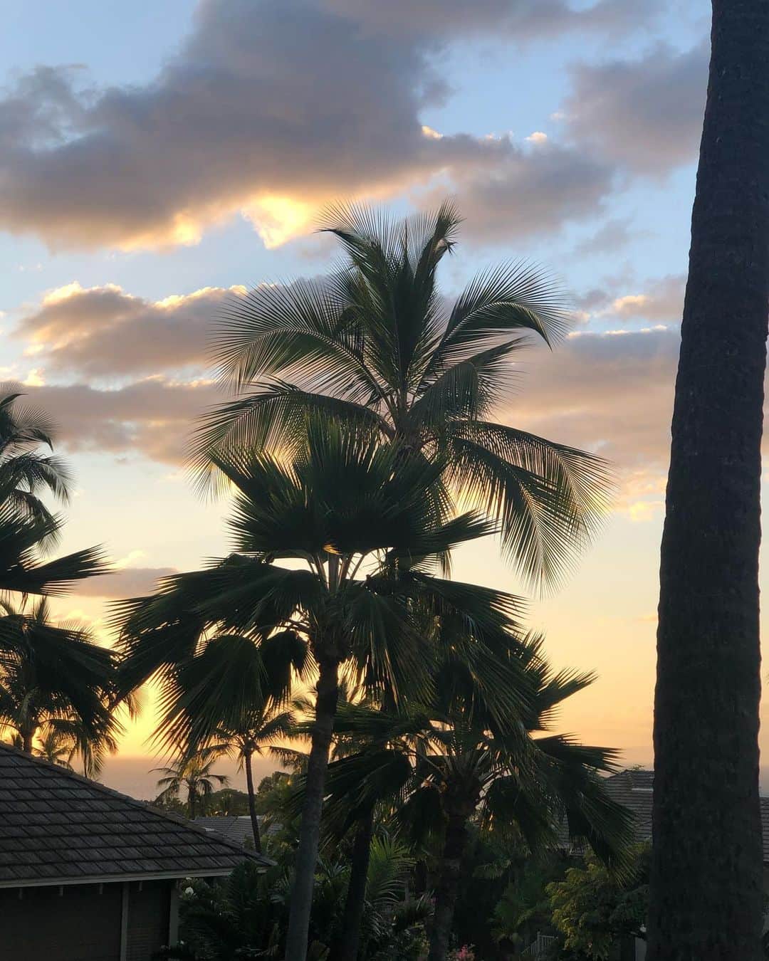 レジー・リーのインスタグラム：「Gmorning Maui. #gottagetmyspamandeggsandrice」