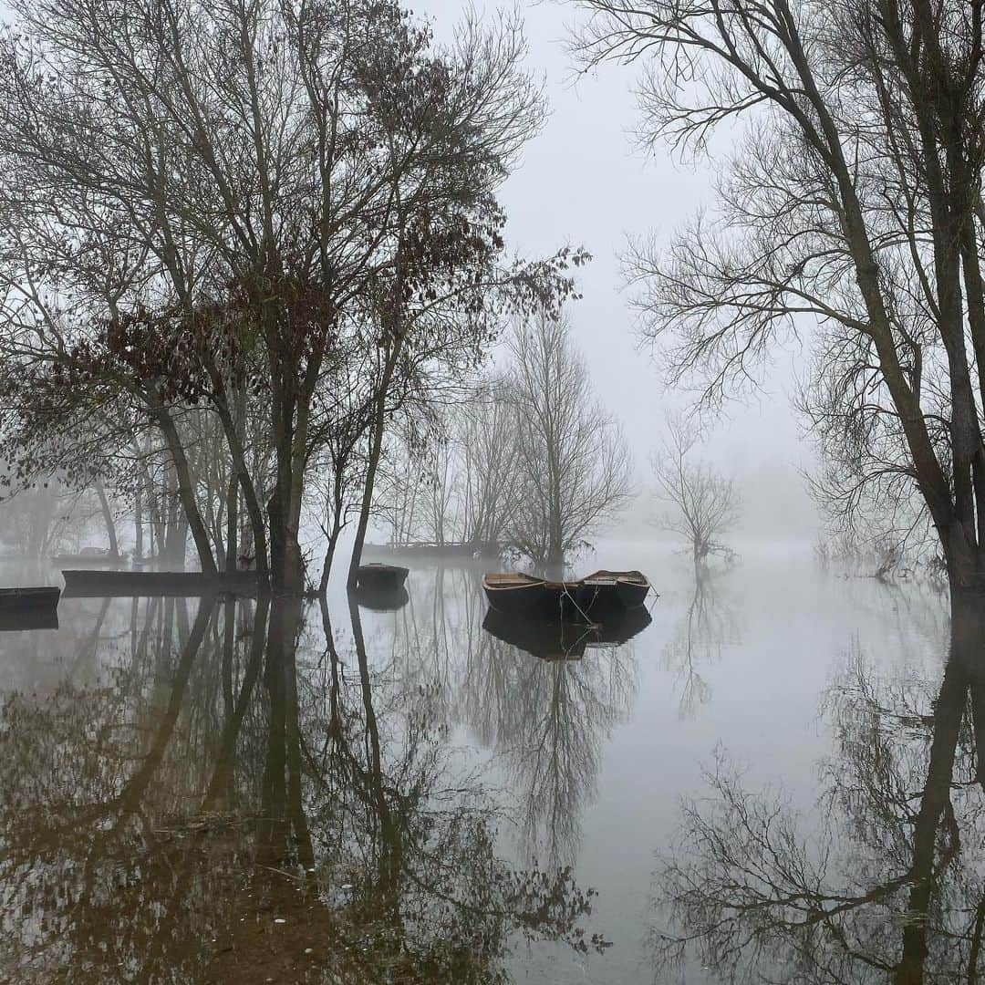 レベッカ・ウィソッキーさんのインスタグラム写真 - (レベッカ・ウィソッキーInstagram)「Happy New Year and Bonne Annee from astonishingly beautiful Candes-Saint-Martin in the Loire Valley. May 2020 bring all good things. 💓」1月1日 3時33分 - rebeccawisocky