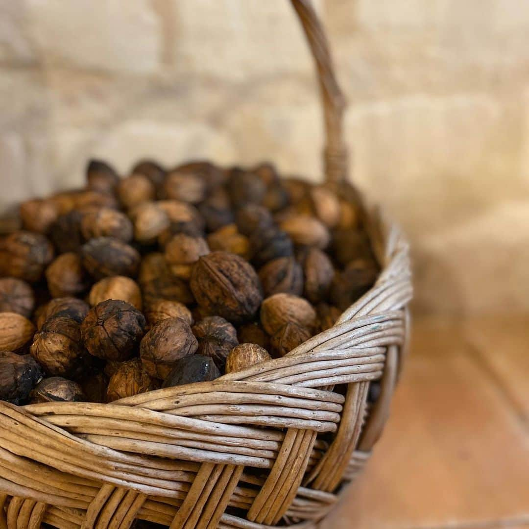 レベッカ・ウィソッキーさんのインスタグラム写真 - (レベッカ・ウィソッキーInstagram)「Happy New Year and Bonne Annee from astonishingly beautiful Candes-Saint-Martin in the Loire Valley. May 2020 bring all good things. 💓」1月1日 3時33分 - rebeccawisocky