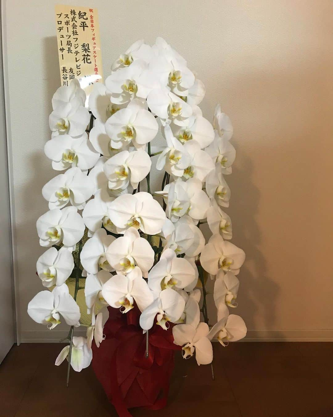 紀平梨花さんのインスタグラム写真 - (紀平梨花Instagram)「全日本選手権で素敵なお花を頂きました💐💗 ありがとうございます😊✨ #全日本選手権2019」1月1日 13時11分 - rikaskate0721