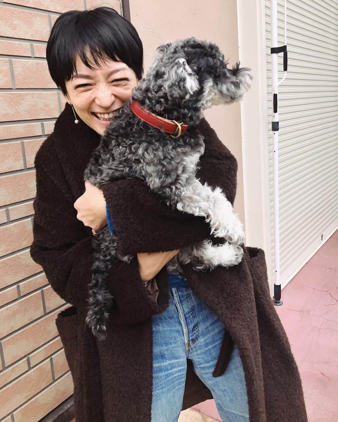 のインスタグラム：「あけましておめでとうございます🎍 今年もたくさん笑って、ちょっとやそっとの嫌なことはピュっと吹き飛ばせるくらいの大らかな人間になりたいです。　 2020年は、日本も大きな変化を感じることが多いんだろうなー。 皆様に幸多い日々になりますように。 今年もどうぞよろしくお願いします！！ さっき、実家に帰ってきました。 久々の太郎🐶8歳は、ちょっとつれない…。」