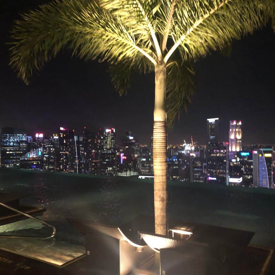 河村美咲さんのインスタグラム写真 - (河村美咲Instagram)「あけましておめでとうございます🎍☀︎ 今年の年越しはシンガポールで過ごしました🌴✈️ 行きたかったマリーナベイサンズのプール入ってきたけど水冷たすぎた😂😂 2020素敵な年にしよーぜーー！😎 ㅤㅤㅤ #MarinaBaySands #2020 #happynewyear」1月1日 13時07分 - misaki_haaan