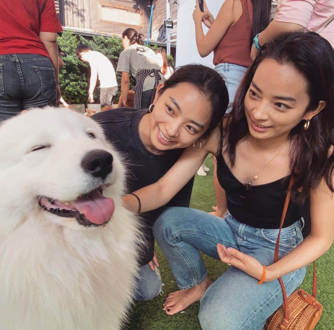 蒼あんなさんのインスタグラム写真 - (蒼あんなInstagram)「わんわんランドinタイ🐶🇹🇭 Bou Wow park in Thailand 🐶🇹🇭 超級可愛😍😍😍 . . #bowwow #わんわんらんど #🐶」1月1日 13時28分 - twins_anna