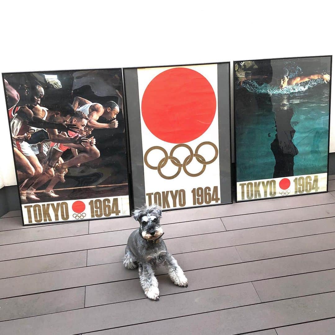 田中知之さんのインスタグラム写真 - (田中知之Instagram)「明けましておめでとうございます。56年ぶりの東京開催ということで前回東京オリンピックのポスター3種を額装してみました。今年の東京開催に関しては色んな意見がありますが、ひとつ間違いないのは、56年前の亀倉雄策のデザインが素晴らしいということ。時代を超越するしなやかさが備わっている。私も時代に囚われず、しなやかな音楽を生み出していきたいなぁと改めて。今年はここ数年じっくり作ってきたニューアルバムもリリースします。引き続き宜しくお願いいたします。  #東京オリンピック1964  #亀倉雄策  #vintageposter  #ropeo #schnauzer  #fpm #fantasticplasticmachine」1月1日 14時08分 - tomoyukitanaka