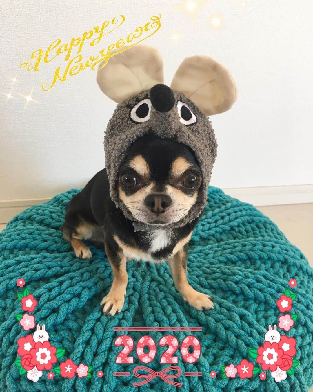 夢城えれんのインスタグラム：「. 🎍新年あけましておめでとうございます🐭  本年もよろしくお願いいたします😌 🌅🌅🌅 . . #元旦 #謹賀新年」