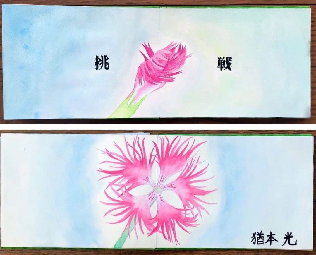 猶本光さんのインスタグラム写真 - (猶本光Instagram)「‪あけましておめでとうございます🎍‬ ‪2020年もよろしくお願いします！‬ ‪中3の美術の授業で描いた絵本の表紙と裏表紙を添えて。(なでしこの花)‬」1月1日 14時15分 - naomoto6hikaru