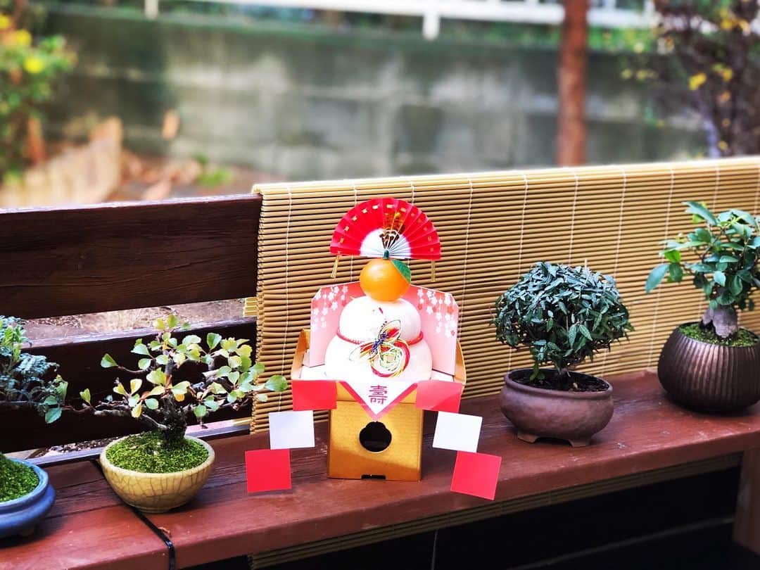金成公信のインスタグラム：「新年明けましておめでとうございます。 a happy new year🎍  #盆栽 #bonsai #bonsaijapan #japanesebonsai #wabisabi #bonsailovers #bonsailife #bonsaitree #bonsaiart #bonsaigram #bonsaiworld #plants #tree #greenlife #greenlifestyle #苔 #moss」