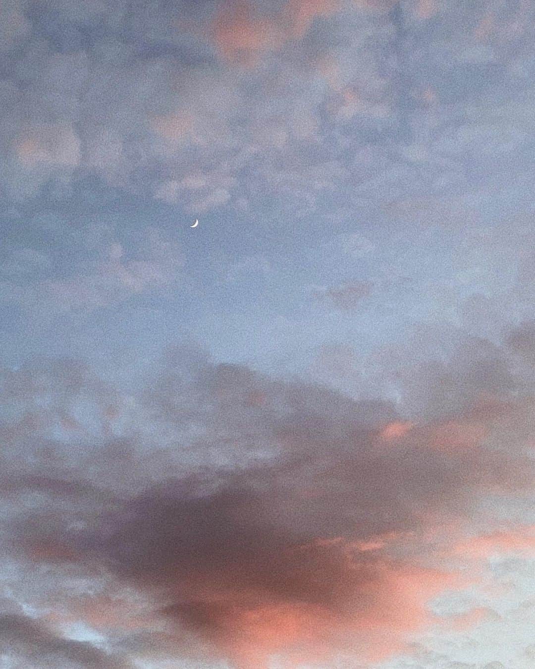 Camden Scottのインスタグラム：「Dear 2019, You were intense. You taught me how to have patience with myself and others. You showed me how to lean on loved ones in times of need and who I could truly count on when adversity strikes. I am so thankful for the pain you brought, the lessons I learned and the place you helped me find. Never have I felt more gratitude and excitement for the future. Thanks for throwing life at me and helping me through it.  Here’s to 2020! I hope everyone continues to find growth and happiness in the new year!」