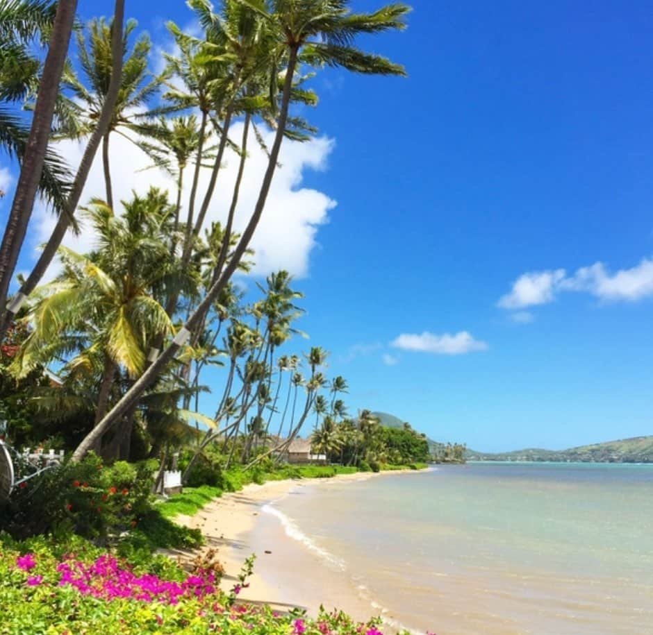 マキ・コニクソンさんのインスタグラム写真 - (マキ・コニクソンInstagram)「A Happy New Year from Hawaii! ハワイから新年明けましておめでとう御座います！日本は一足先に2020年！ 私達も追いかけます！皆さんが健康で愛に溢れるハッピーな一年になります様に！🙏🏻 #ハワイのおすそ分け🤙🏼 #全ては健康から！」1月1日 5時35分 - makikonikson