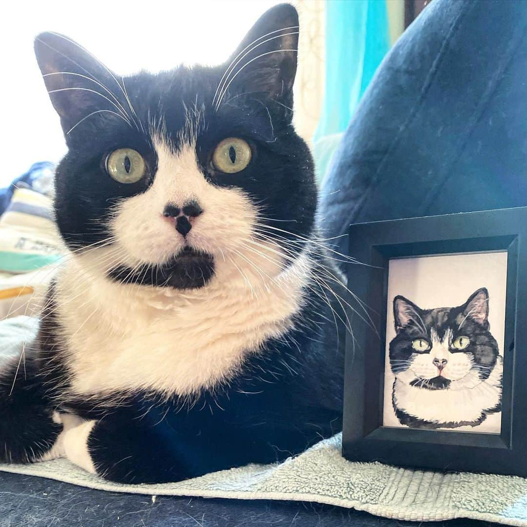 Tuxedo Cat Brosのインスタグラム：「We love fan art! Thank you to the very talented @haliegrl for painting this adorable image of Jack! 😍 2019, you have been great but we are really looking forward to 2020! To all our followers, have a safe and happy new year! ❤️」