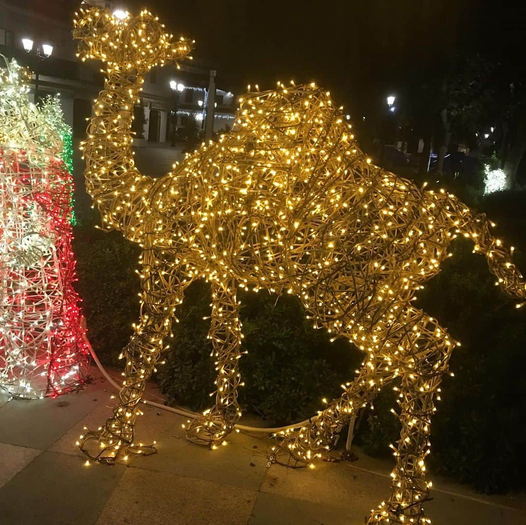 ガブリエル・アドコックさんのインスタグラム写真 - (ガブリエル・アドコックInstagram)「Happy New Year!!🥳 Cheers 🥂 to 2020... 💕✨💫💝😊」1月1日 7時39分 - gabbyadcock1