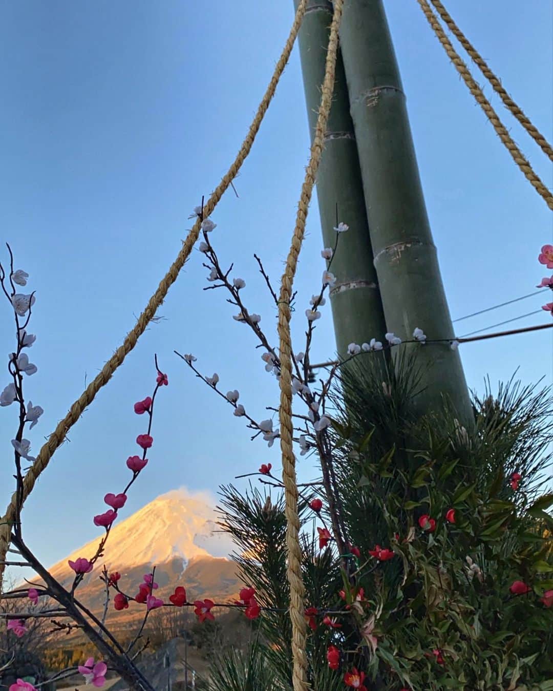phantastic420のインスタグラム：「. 🤩🤩“Shizuoka” prefecture in Japan is a place where you can see the most “phantastic” Mt. Fuji🗻 in the world.🤩 #富士山 #mtfuji #japan #shizuoka #fujinomiya  #phantastic420photography #mostphantasticmtfuji #selamatpagi  #goodmorning  #おはようございます 😇😇😇😇😇😇😇🗻😇😇😇😇 あけましておめでとうございます🎍🍾㊗️🎊🎉 今年も宜しくお願い致します🙏 気温も高く元旦から🗻見えず… 不安なスタートですが良いお年になりますように🤣 竹の先端までみたい方は是非ストーリーズ見てください🤣」
