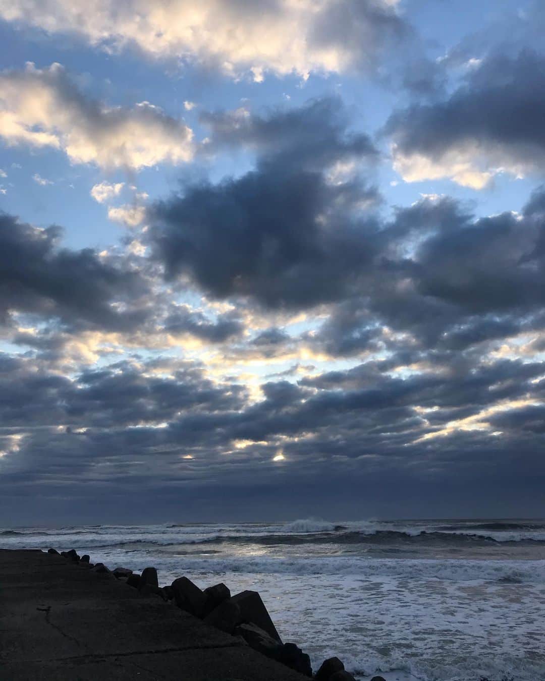 大川成美さんのインスタグラム写真 - (大川成美Instagram)「新年明けまして おめでとうございます 昨年はお世話になりました 今年もよろしくお願い致します。  年越しして早起きで毎年、海に初日の出を観に行きます。自然が好きです。大晦日も話しかけたメジロが頭に乗りましたので記念写真🐉✨ 平和な一年になりますように。」1月1日 8時19分 - naru_coco