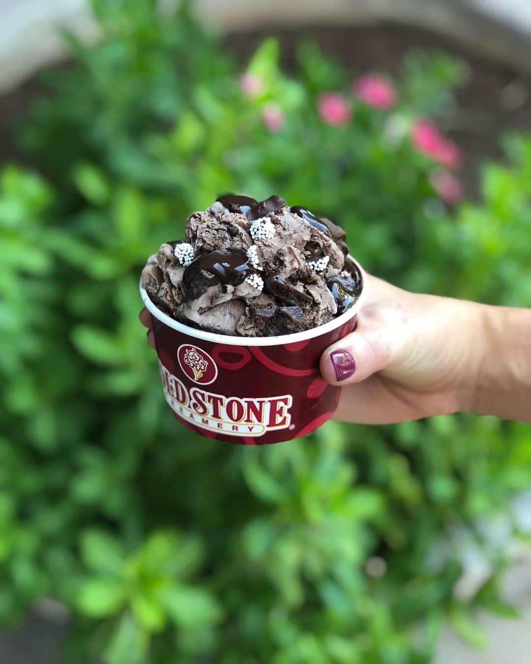 コールド・ストーン・クリーマリーのインスタグラム：「You have until tomorrow to treat yourself with no guilt… order our Chilly Chocolate Mint™ Creation while it’s still here! ❄🎄 . . . #coldstone #treatyourself #csc #nye #resolutions #newyearsresolutions」