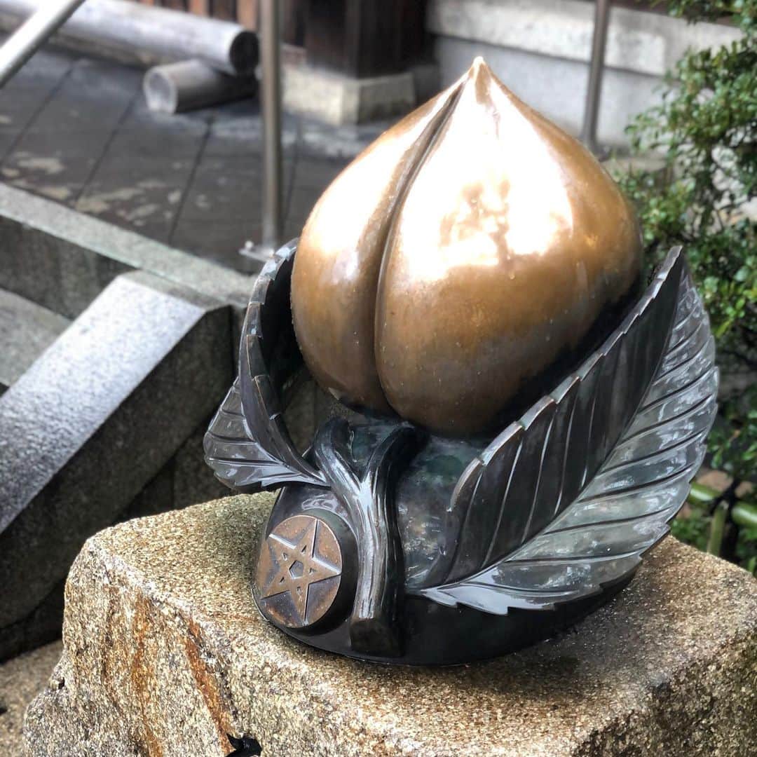 松村成のインスタグラム：「2020年、明けましておめでとうございます！🎍 本年も何卒よろしくお願い致します。皆様にとって素敵な一年になりますように。」