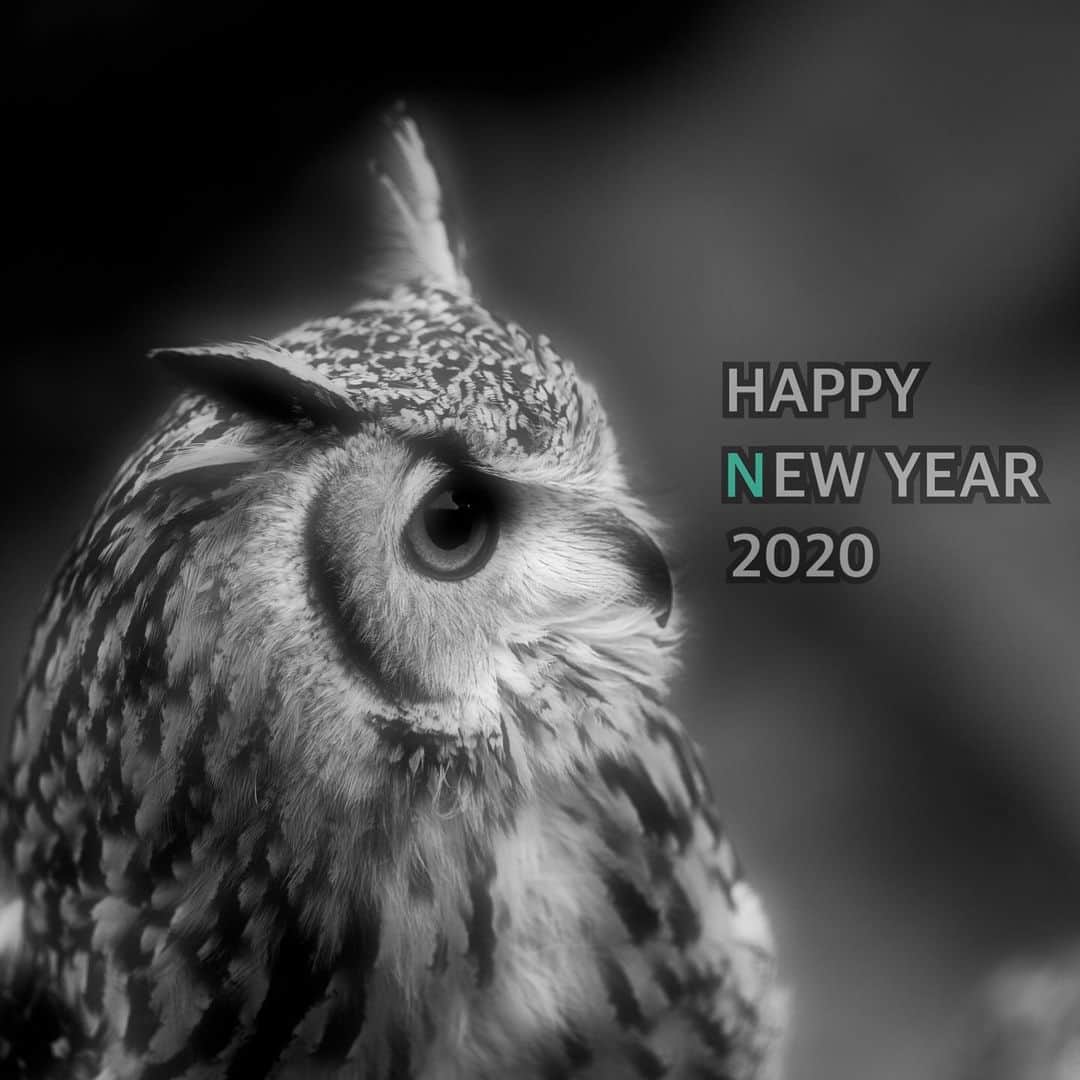 GEN3 Owlのインスタグラム：「HAPPY NEW YEAR #happynewyear  #owl #owlgaru」