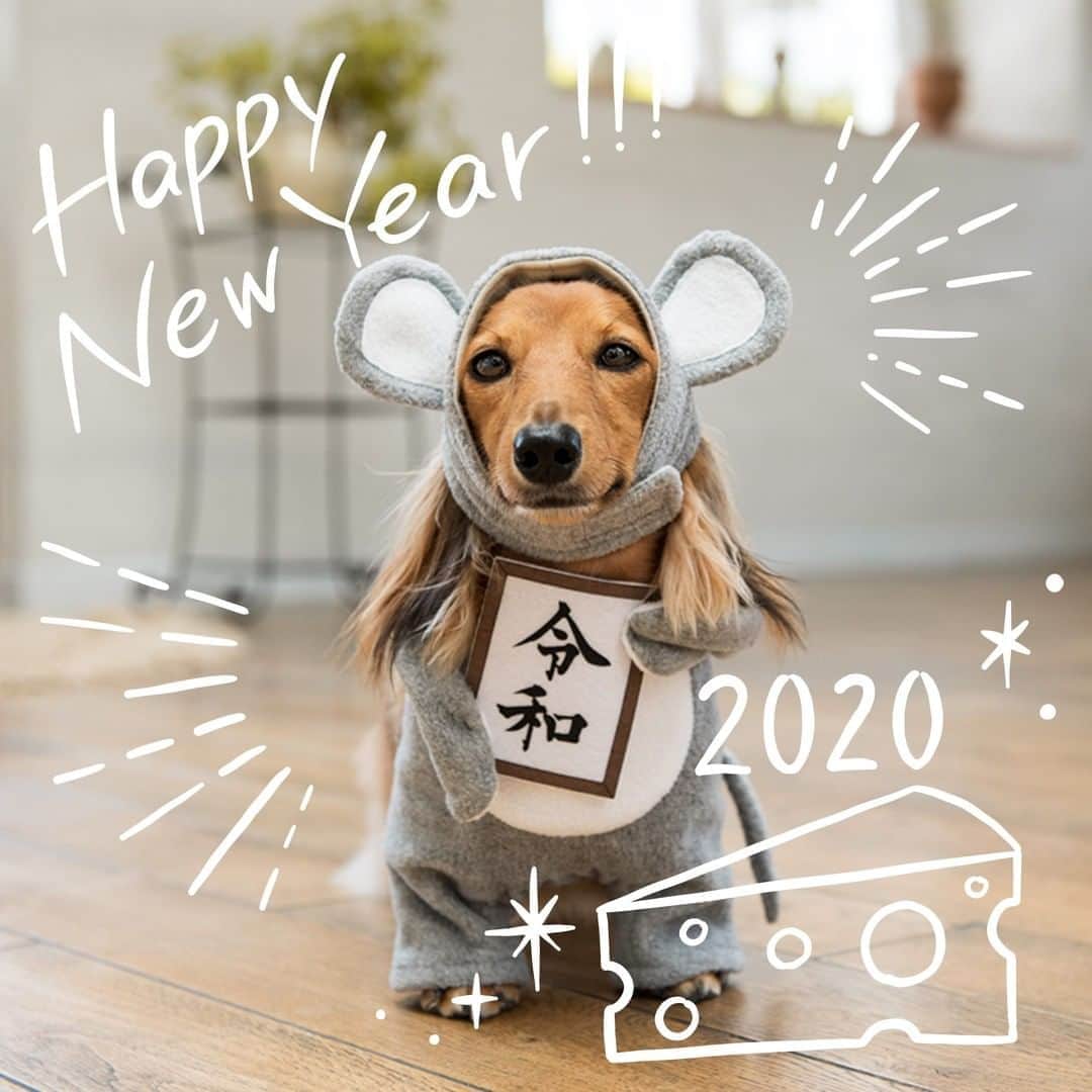 のインスタグラム：「令和で迎える新年、明けましておめでとうございます。 本年もカインズをどうぞよろしくお願い申し上げます。 . 2020年も皆さまのくらしに、ららら。と感じて頂けるような、そんなアイテムをご紹介していきたいと思います。 . 皆さまにとって素敵な1年になりますように。 . #新年 #ごあいさつ #明けましておめでとうございます #2020年 #令和 #元旦 #newyear #greeting #2020 #reiwa #newyearsday #cainz #cainzhome #カインズ #カインズホーム #くらしにららら」