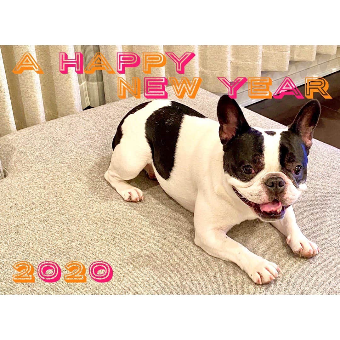 中田奈沙さんのインスタグラム写真 - (中田奈沙Instagram)「Happy New Year 2020❤️ あけましておめでとうございます🎍 皆様にとって素敵な1年になりますように…🙏 * * #happynewyear #ahappynewyear #2020 #newyear #happynewyear2020 #buhi #instadog #dogstagram #frenchbulldog #frenchie #dog #pet #family #cutie #あけましておめでとうございます #あけおめ #2020年 #新年 #令和2年 #正月 #元旦 #フレンチブルドッグ #フレブル #ペット #愛犬 #家族 #ブヒ #いぬすたぐらむ #犬バカ #親バカ」1月1日 10時13分 - nasa_nakada